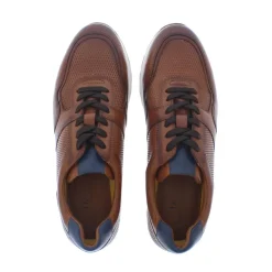 Daniel Kenneth Rodrigo Sneaker Cognac Navy cow