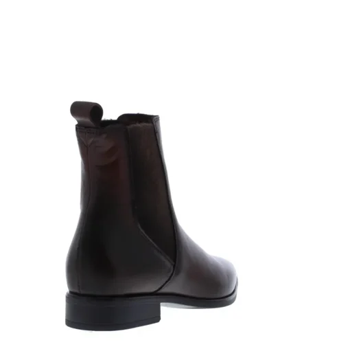 Gioia 2440046 101-6225 Castagna